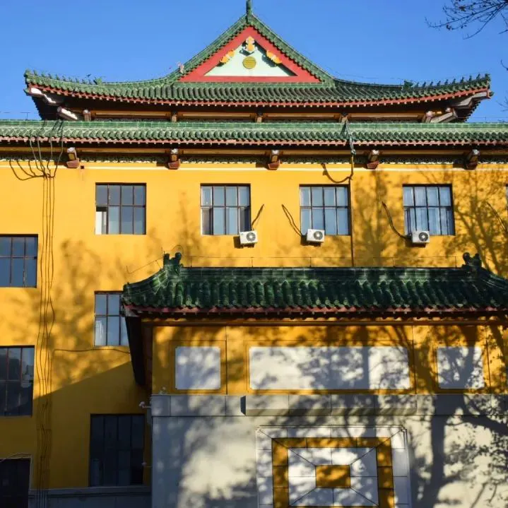 如何通过数据分析优化篮板训练效果?_0